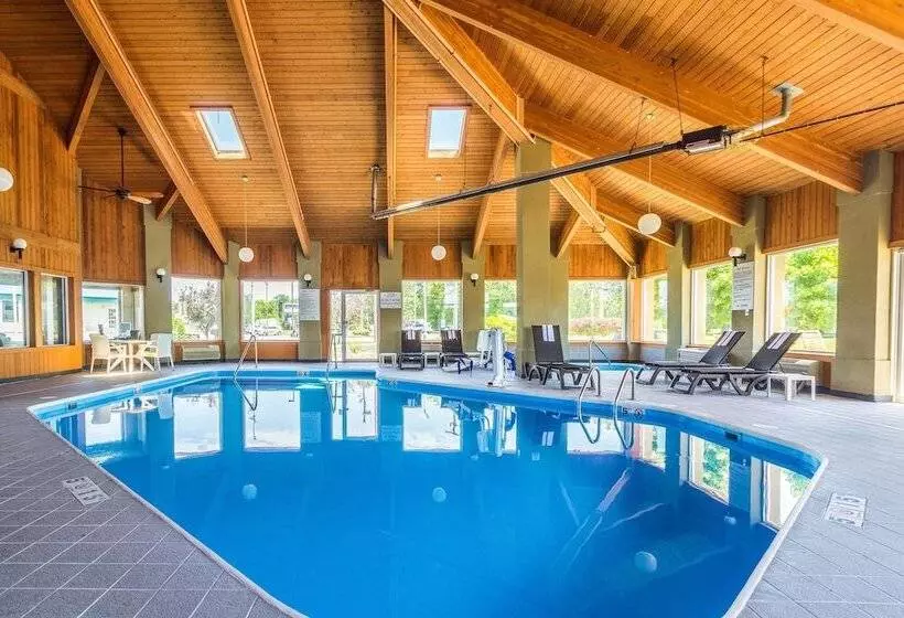 ホテル Comfort Inn Norwalk Sandusky