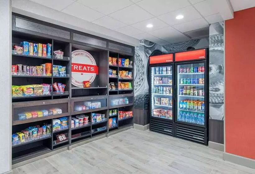 酒店 Hampton Inn & Suites Ruidoso Downs