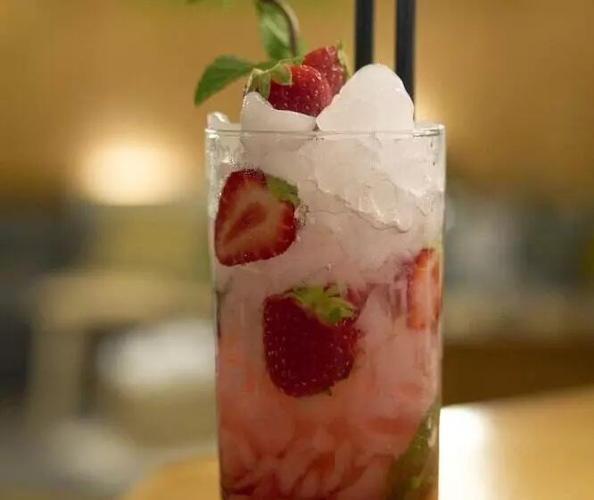 酒店 Madrisa Lodge