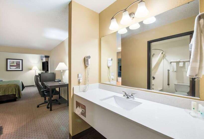 酒店 Quality Inn & Suites