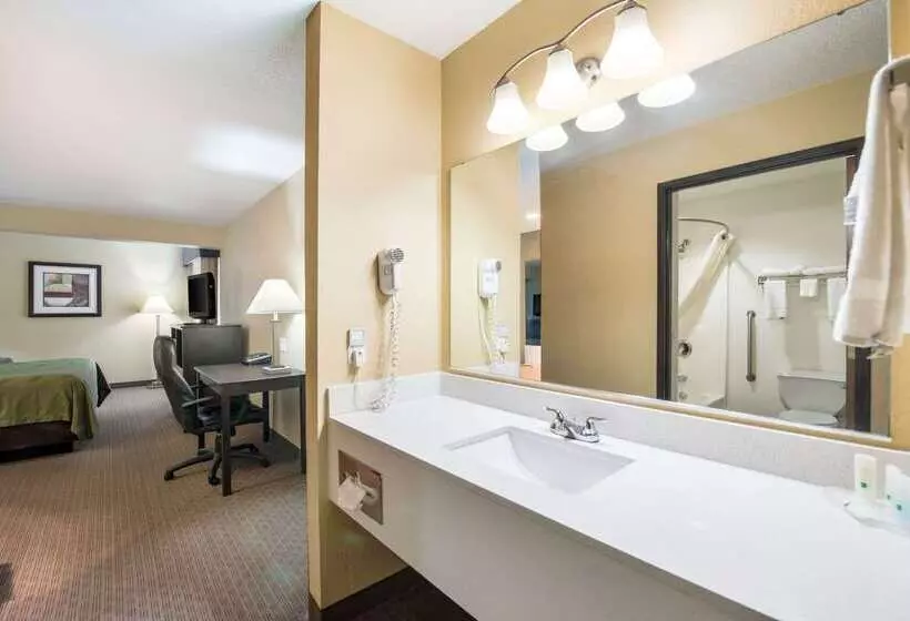 酒店 Quality Inn & Suites