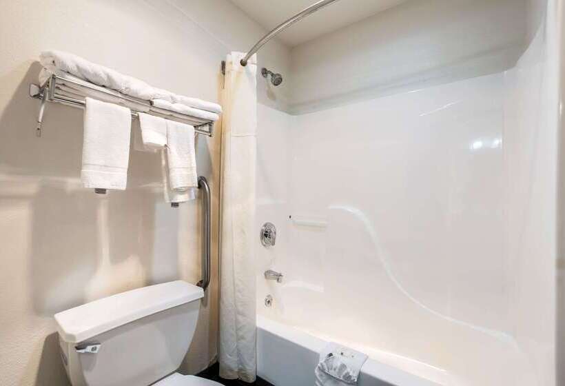 酒店 Quality Inn & Suites