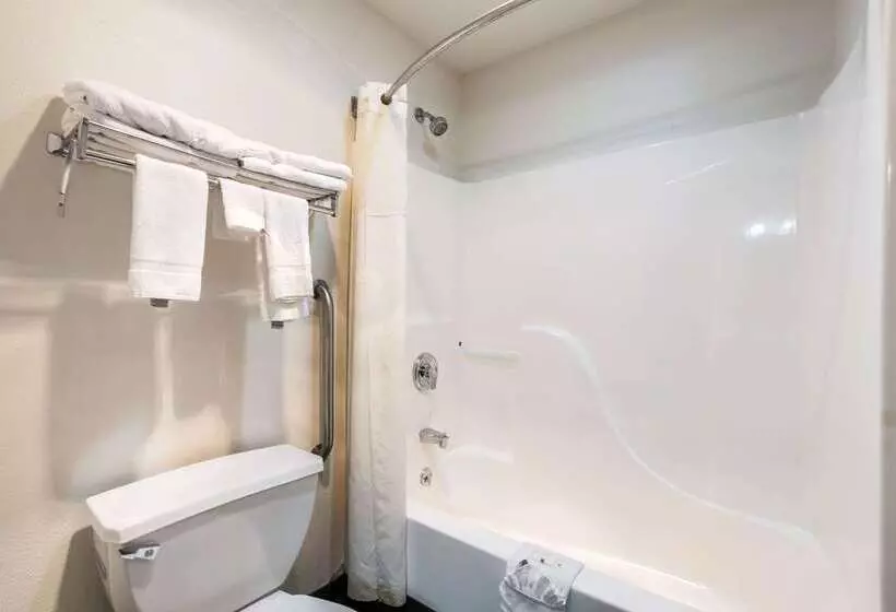 酒店 Quality Inn & Suites