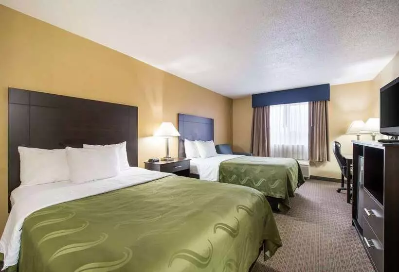 酒店 Quality Inn & Suites