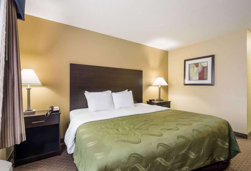 酒店 Quality Inn & Suites