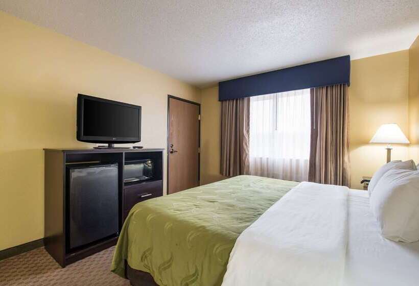 酒店 Quality Inn & Suites