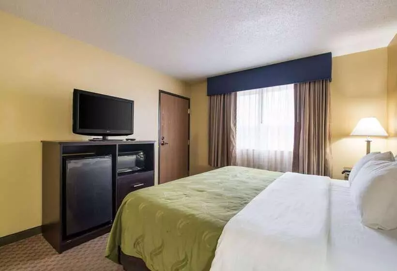 酒店 Quality Inn & Suites