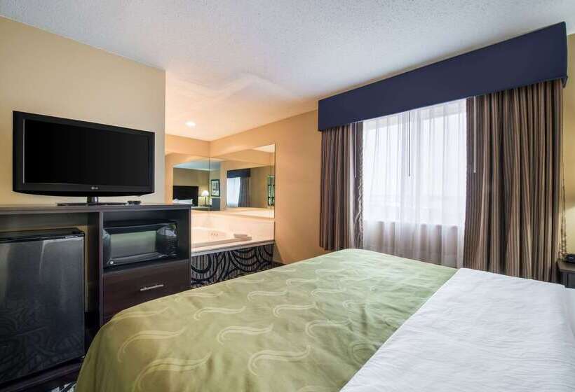 酒店 Quality Inn & Suites