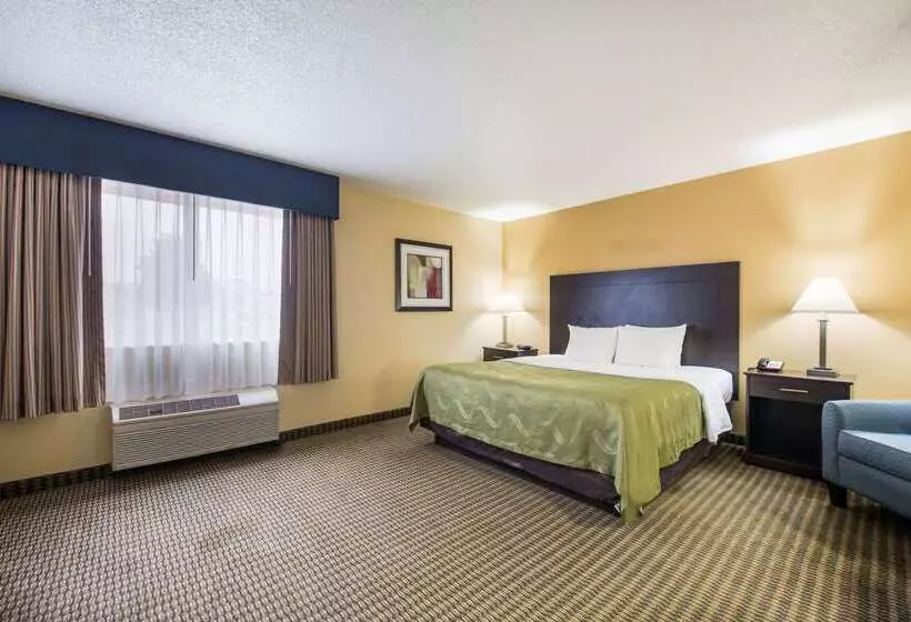 酒店 Quality Inn & Suites