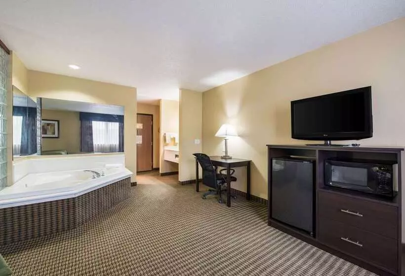 酒店 Quality Inn & Suites