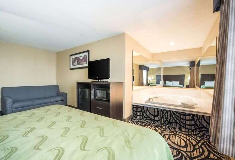 酒店 Quality Inn & Suites