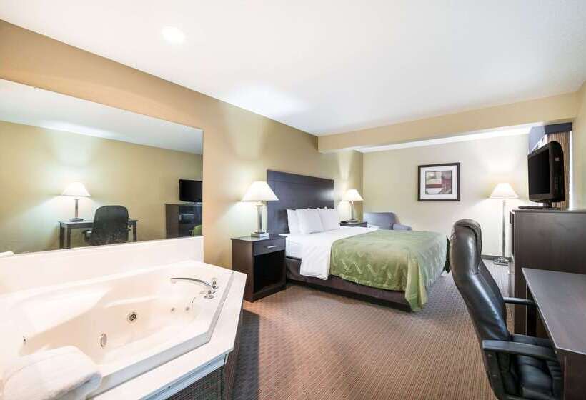 酒店 Quality Inn & Suites