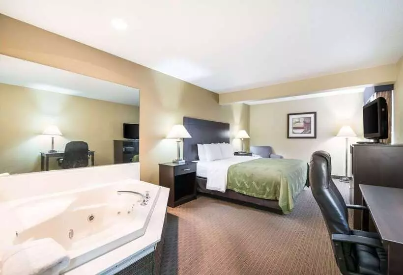 酒店 Quality Inn & Suites