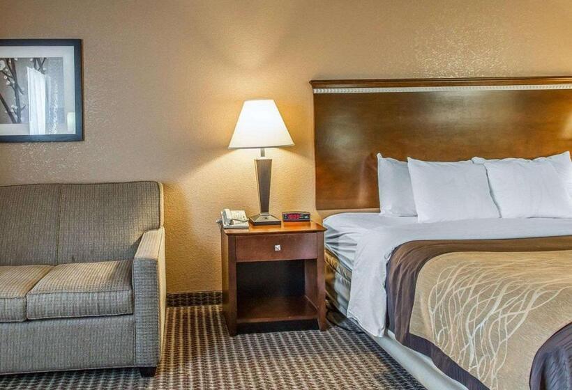 فندق Quality Inn & Suites