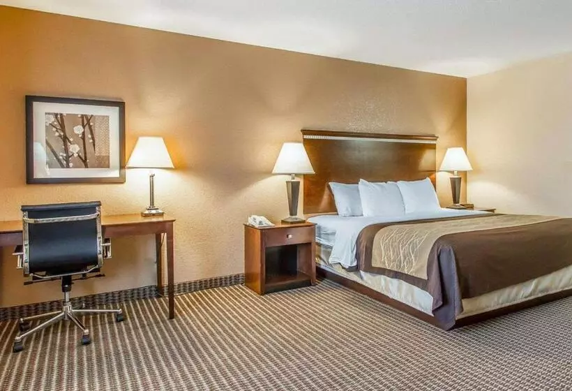 فندق Quality Inn & Suites