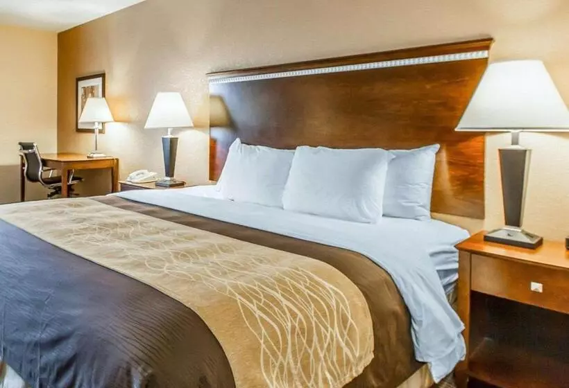 فندق Quality Inn & Suites