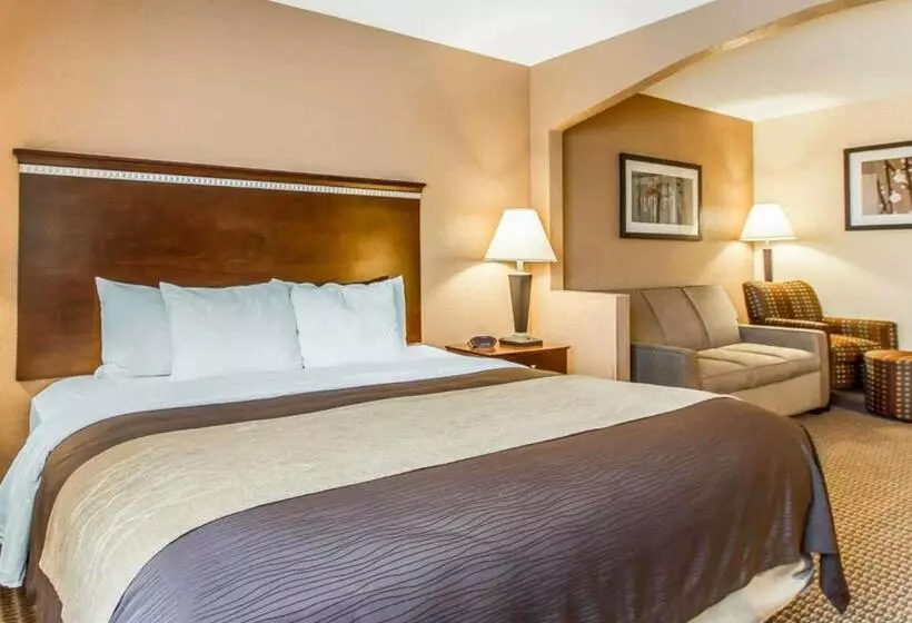 فندق Quality Inn & Suites