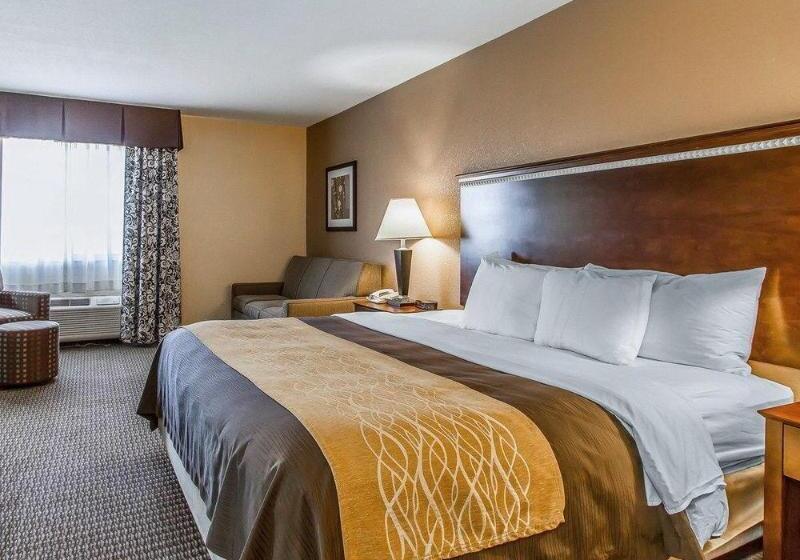 فندق Quality Inn & Suites