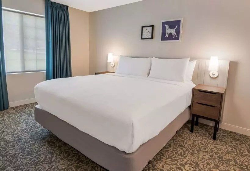 בית מלון כפרי Sonesta Es Suites Andover Boston