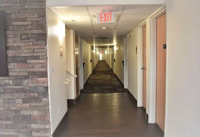 ホテル Super 8 By Wyndham New Braunfels I35