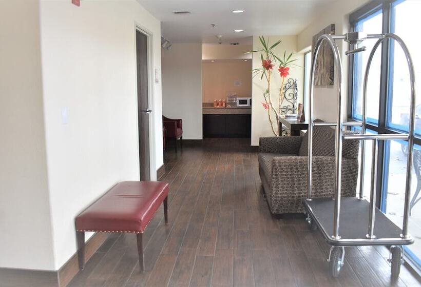 酒店 Super 8 By Wyndham New Braunfels I35