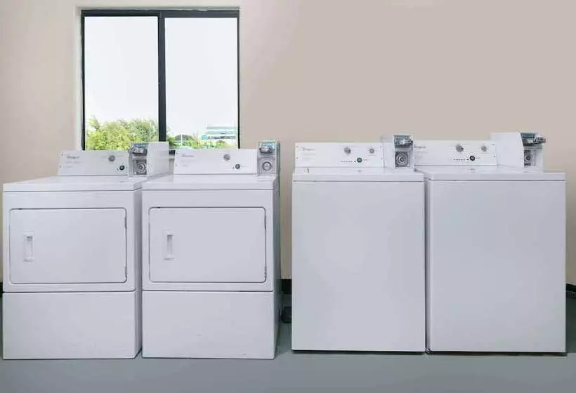 ホテル Super 8 By Wyndham New Braunfels I35