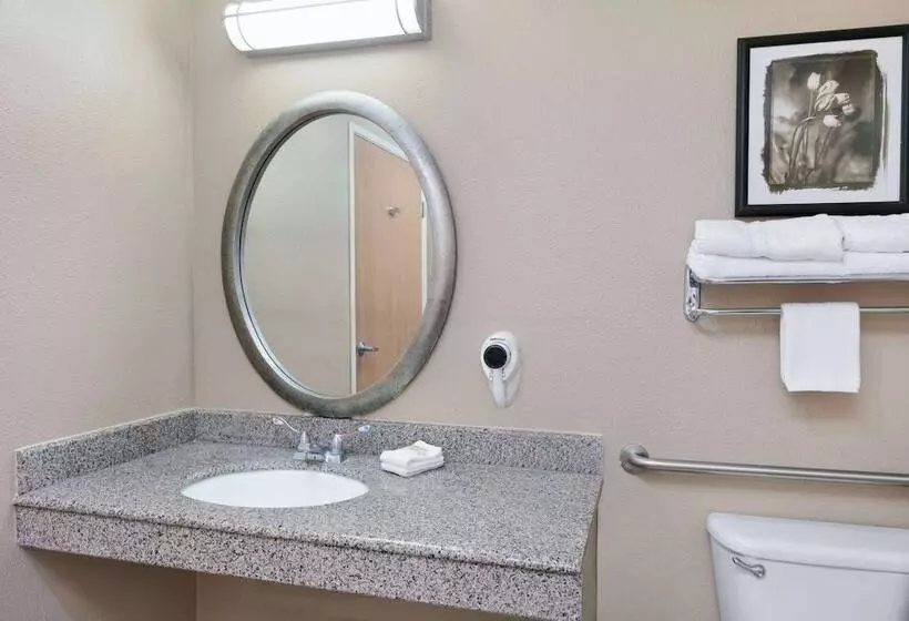 ホテル Super 8 By Wyndham New Braunfels I35