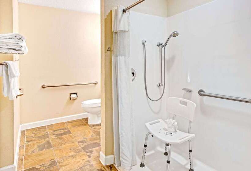 Microtel Inn & Suites By Wyndham Statesville