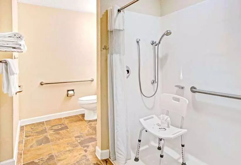 Microtel Inn & Suites By Wyndham Statesville