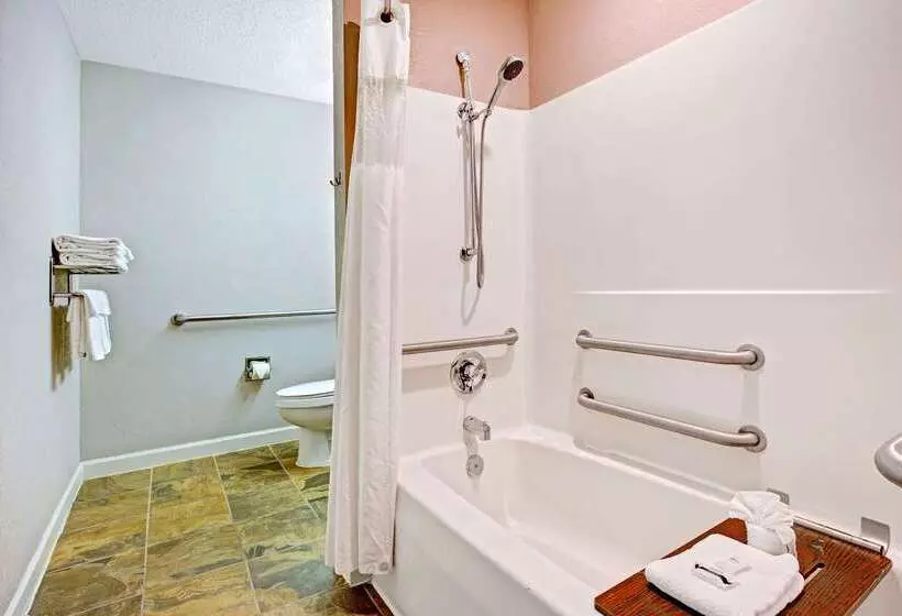 Microtel Inn & Suites By Wyndham Statesville