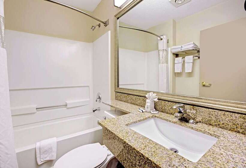 Microtel Inn & Suites By Wyndham Statesville