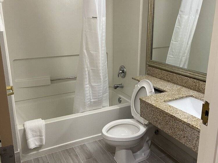 Microtel Inn & Suites By Wyndham Statesville