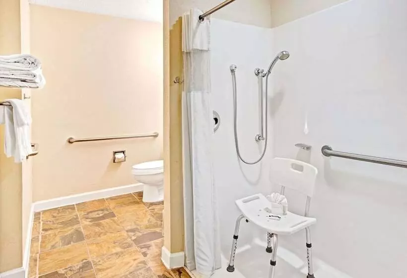 Microtel Inn & Suites By Wyndham Statesville