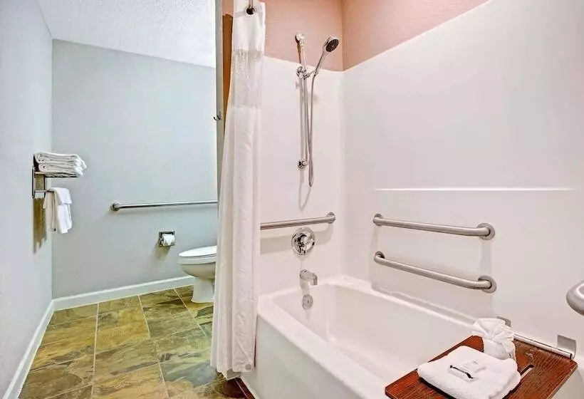 Microtel Inn & Suites By Wyndham Statesville