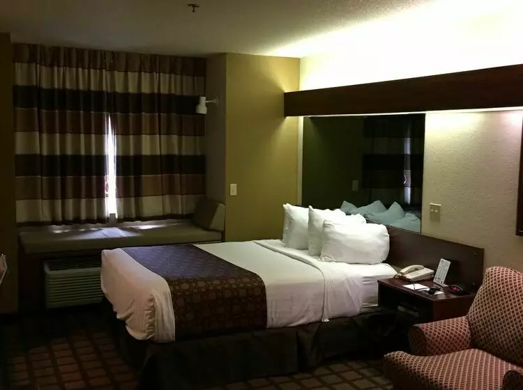 Microtel Inn & Suites By Wyndham Green Bay