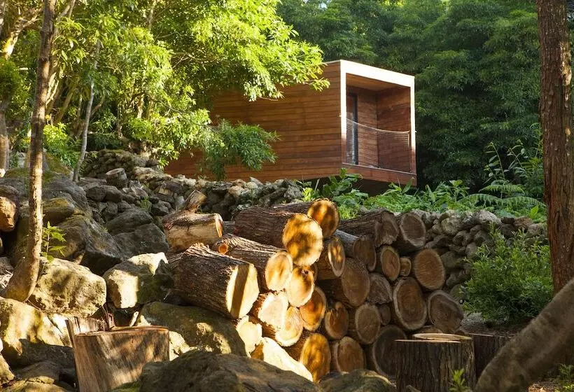 ホテル Caparica Azores Ecolodge