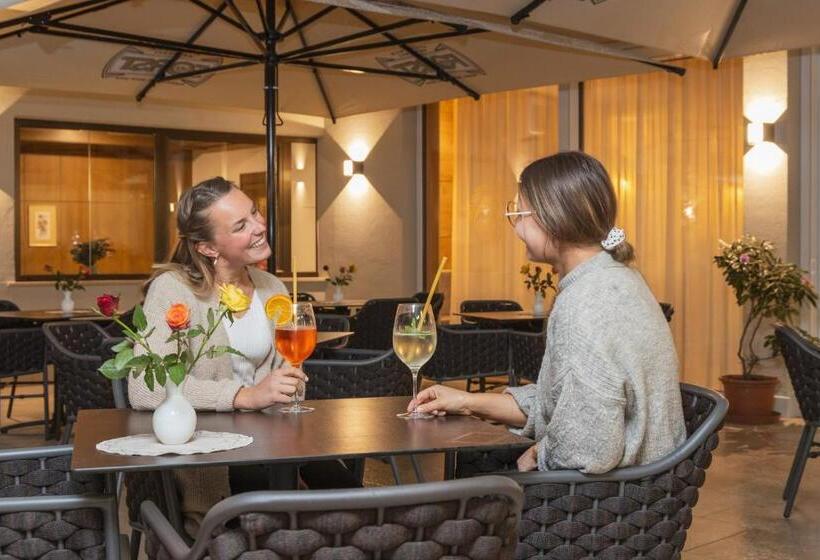 酒店 Goldener Löwe   Anno 1773