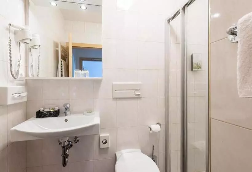 ホテル Goldener Löwe   Anno 1773