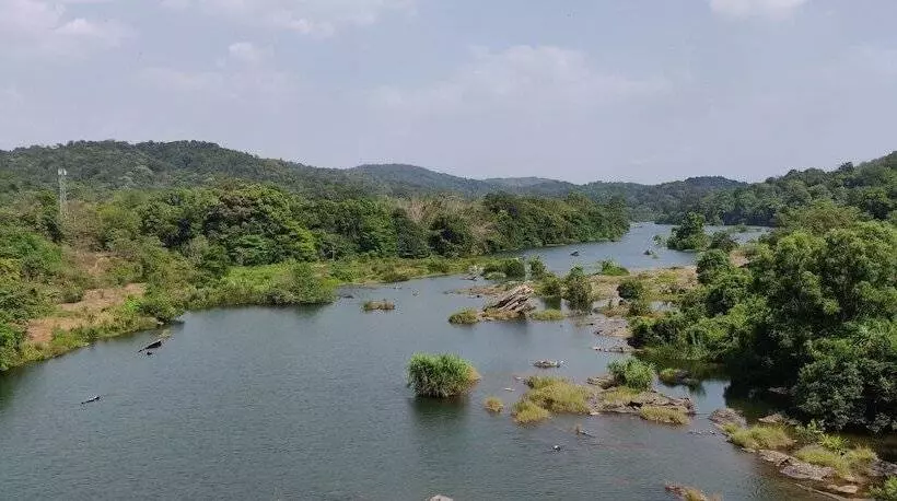 ホテル Paradise Wild Hills Kodachadri