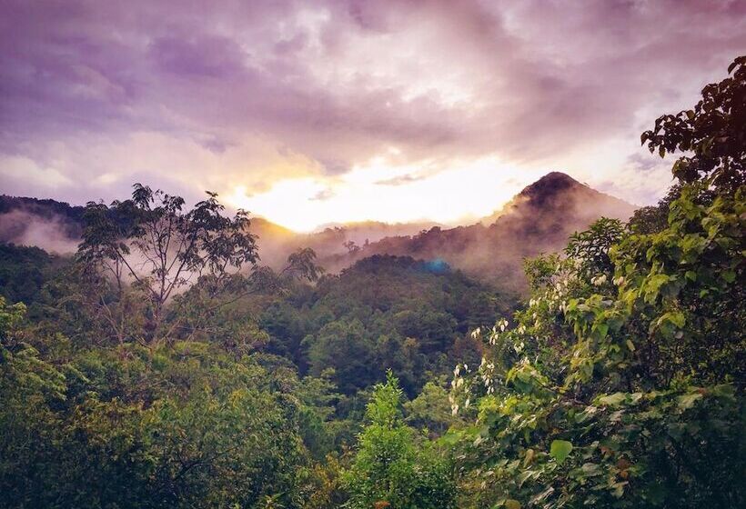 Hotel Paradise Wild Hills Kodachadri