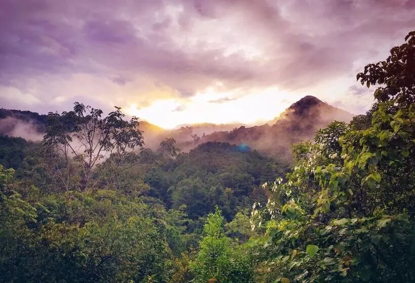 ホテル Paradise Wild Hills Kodachadri