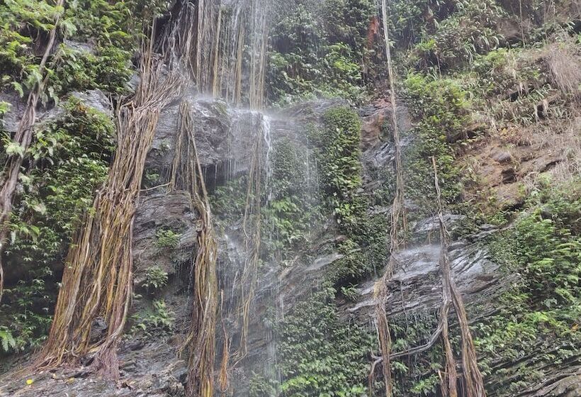 Hotel Paradise Wild Hills Kodachadri