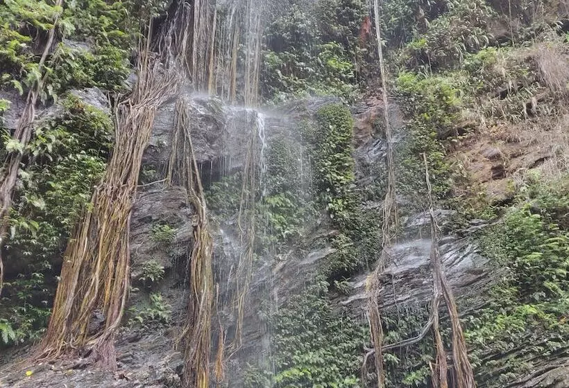 ホテル Paradise Wild Hills Kodachadri