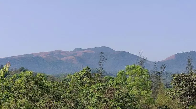 ホテル Paradise Wild Hills Kodachadri