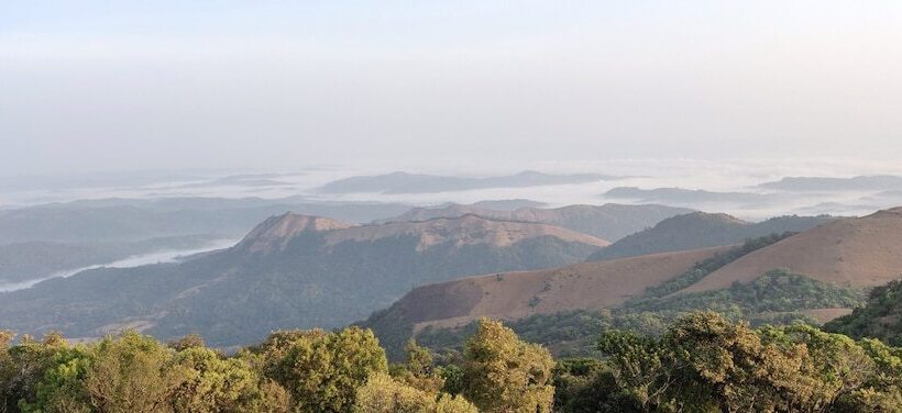 Hotel Paradise Wild Hills Kodachadri