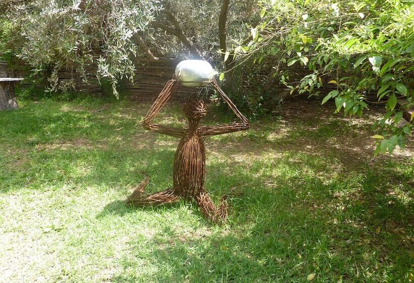 پانسیون Dar Tougga