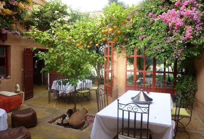 پانسیون Dar Tougga