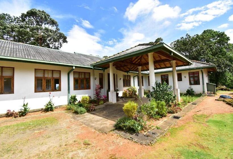 Pensión Jungle Tide