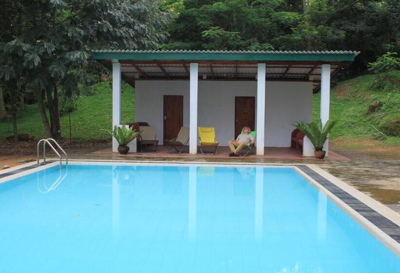 Pensión Jungle Tide