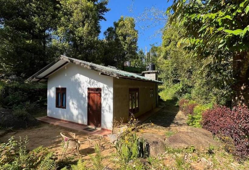 Pensión Jungle Tide